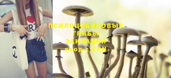 мескалин Арсеньев