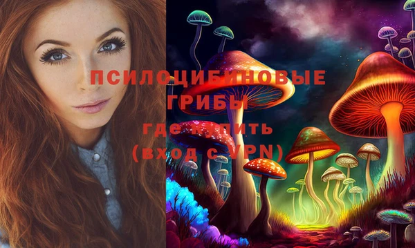 эйфоретик Аркадак